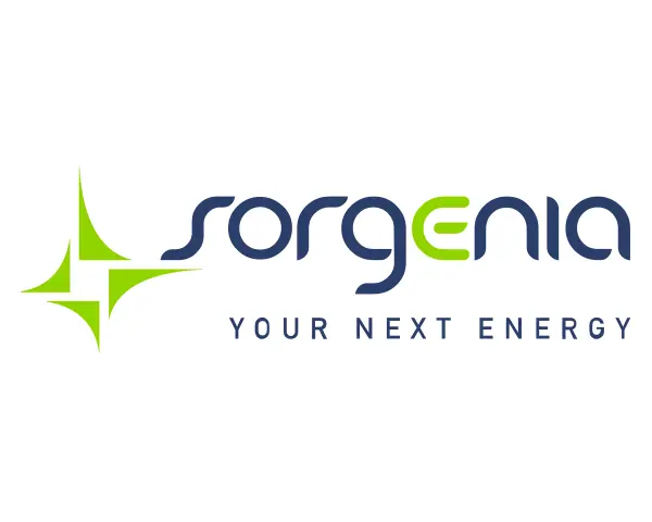 Sorgenia Logo Google Tag Manager